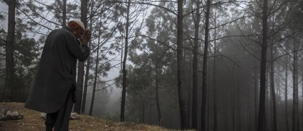 Pakistan Forests
