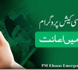 Ehsaas Program Pakistan