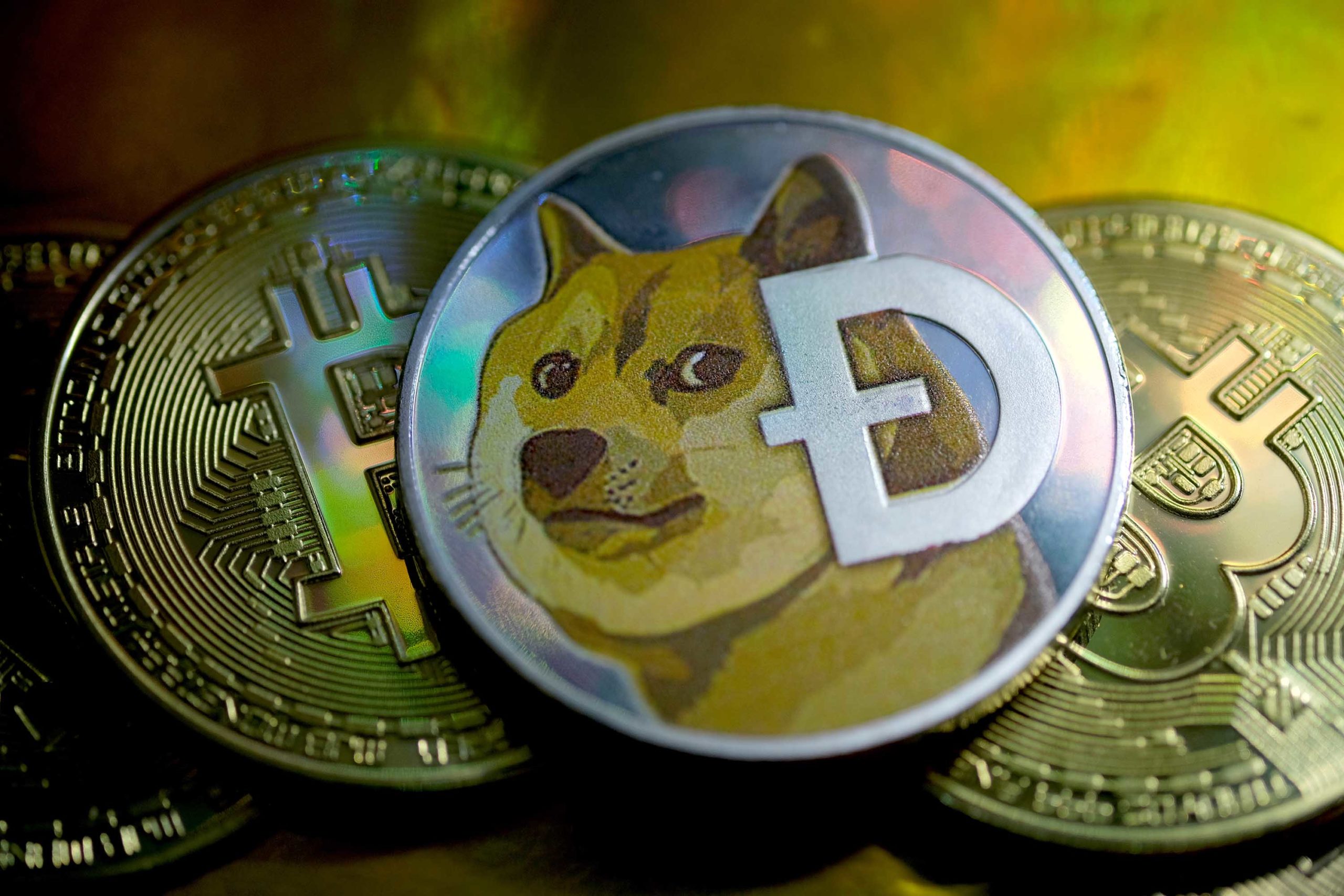 Dogecoin Price, Elon Musk and Future of Cryptocurrency in Pakistan