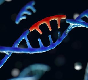 UK offers genomic sequencing capacity and capability to Pakistan