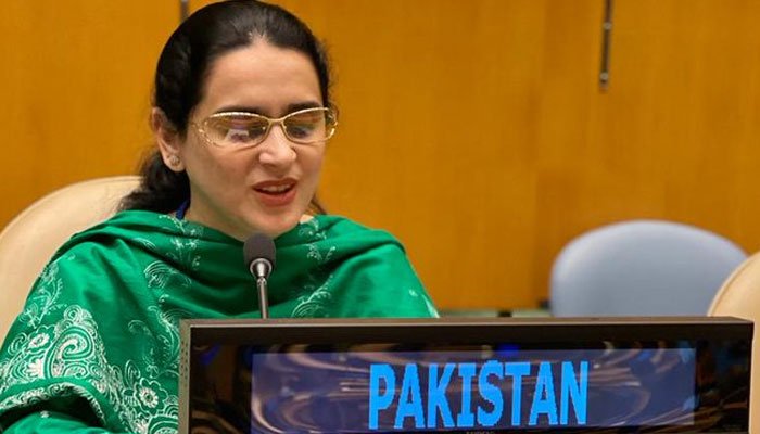 Saima Saleem, Pakistan's visually impaired diplomat’s UN speech lauded